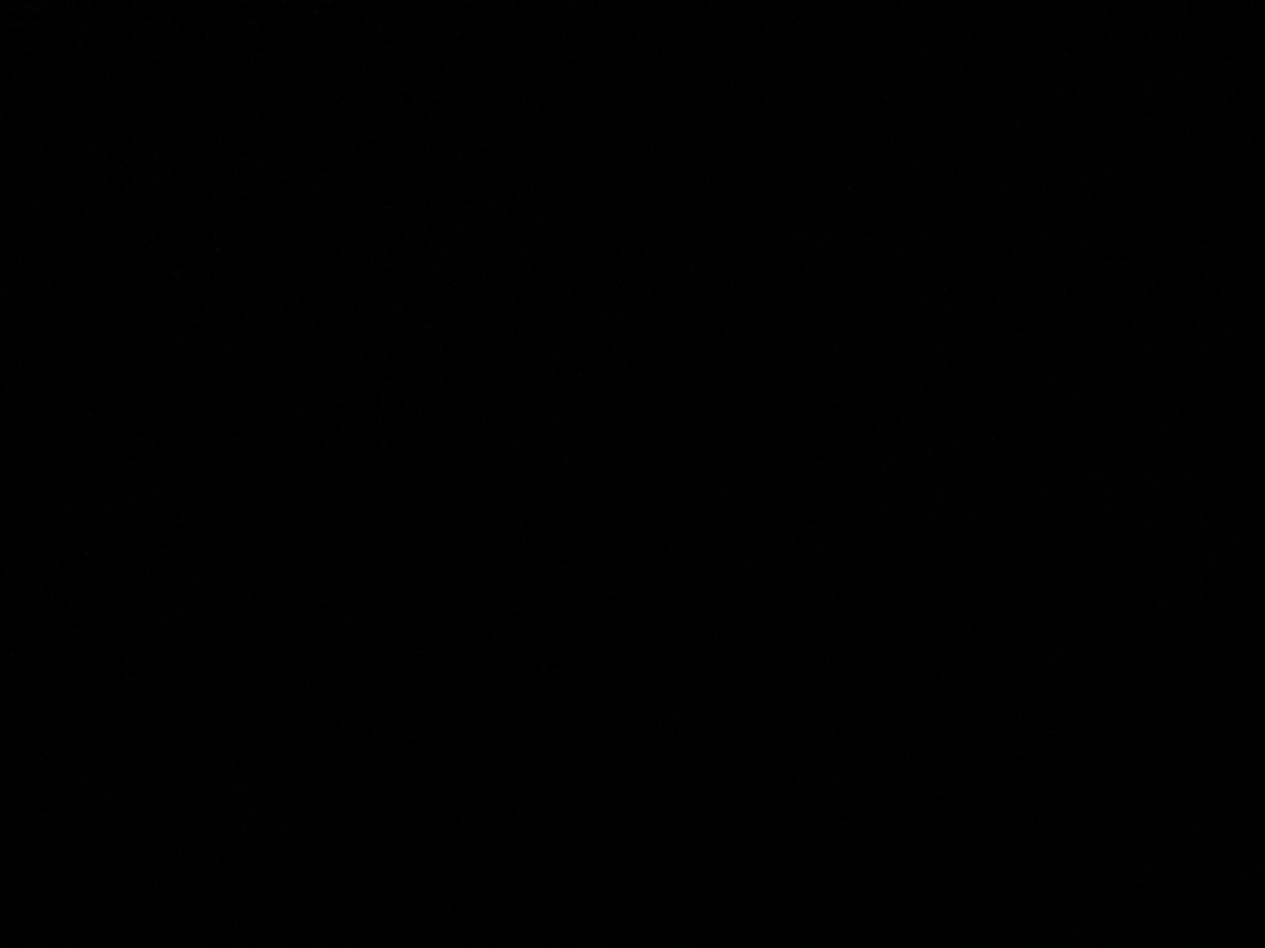 Traduzioni/valutazione testi