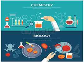 Ripetizioni chimica e materie scientifiche 