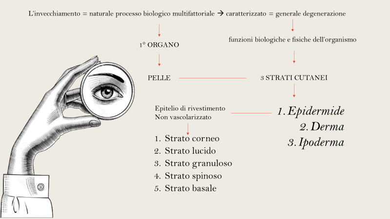 CREATIVITA' è il mio secondo nome
