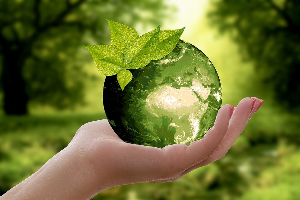 Consulto naturopatico (MEDICINA NATURALE)