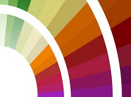 Grafica Vettoriale e Raster