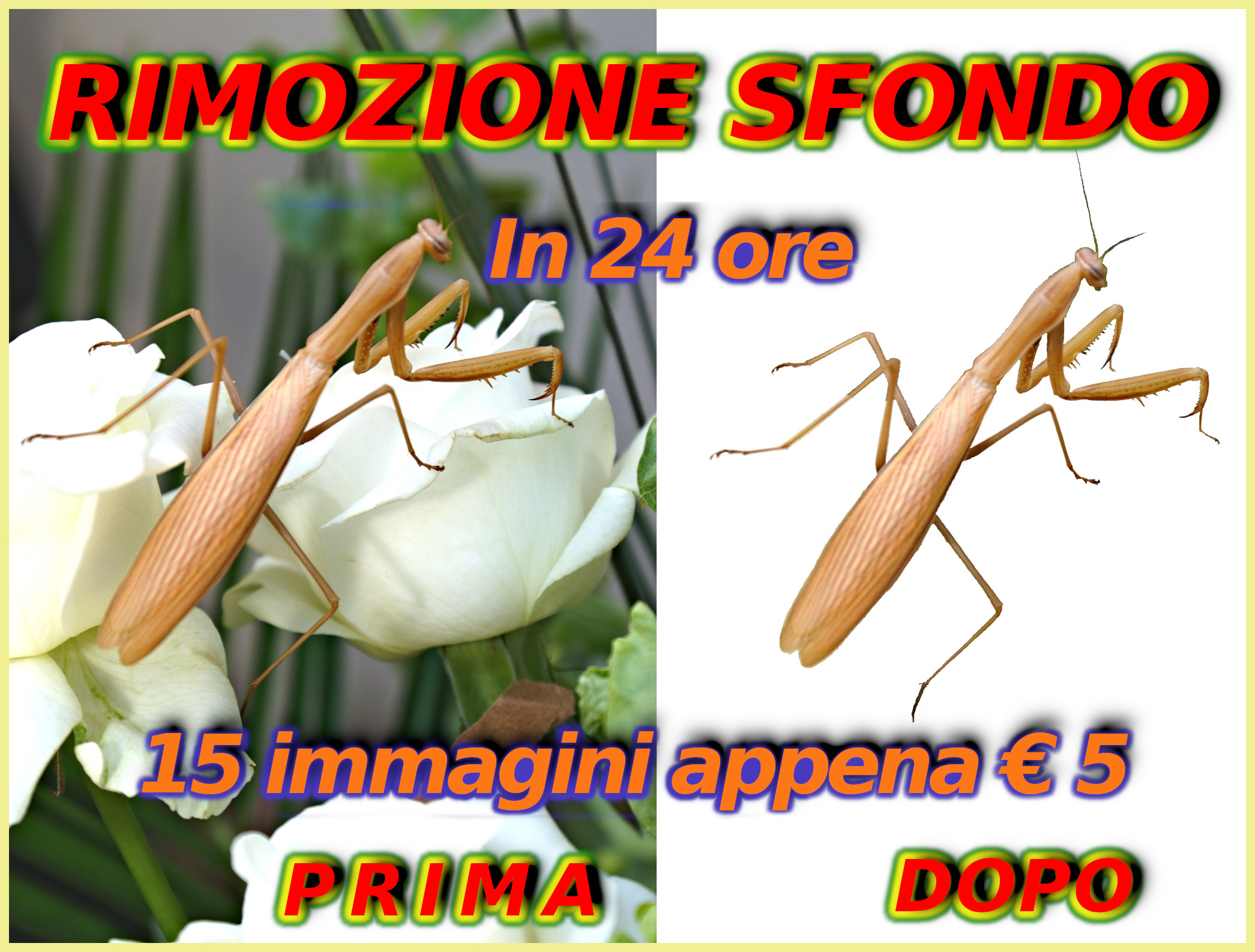 Rimuovo sfondo immagini