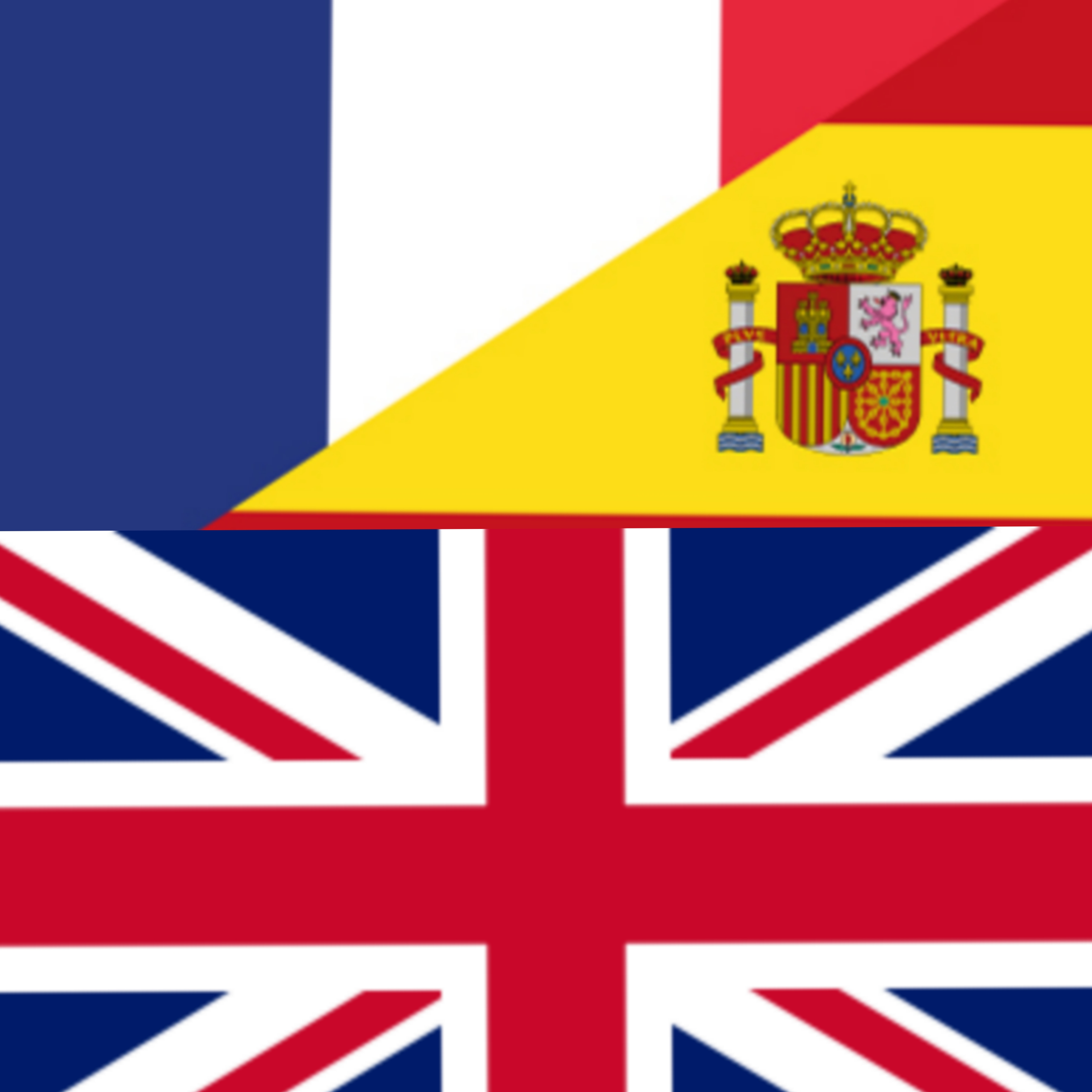 Traduzione di francese, inglese e spagnolo all' italiano 